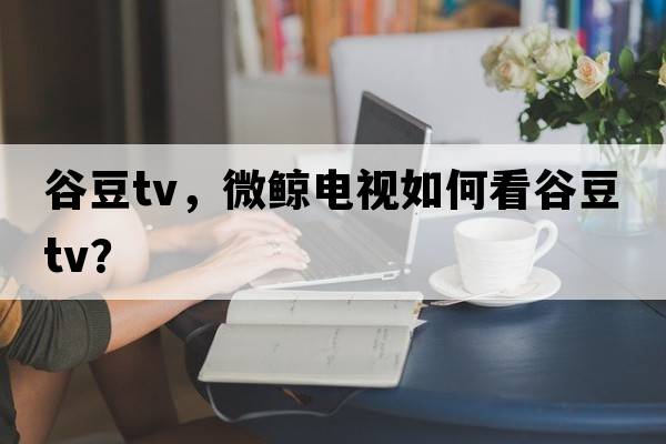 谷豆tv，微鯨電視如何看谷豆tv？