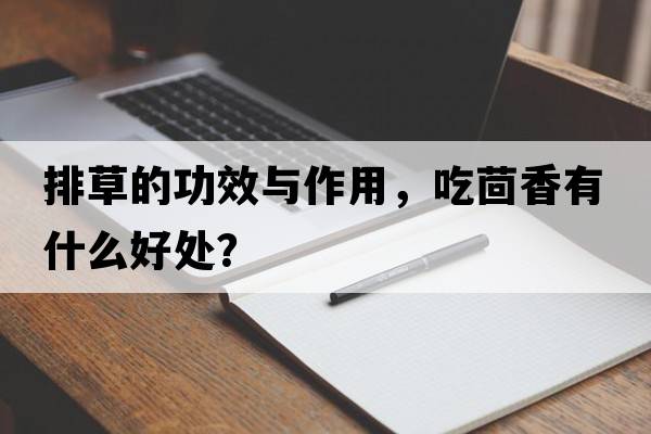 排草的功效與作用，吃茴香有什么好處？