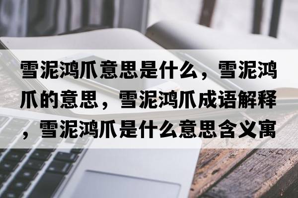 雪泥鴻爪意思是什么，雪泥鴻爪的意思，雪泥鴻爪成語(yǔ)解釋?zhuān)┠帏欁κ鞘裁匆馑己x寓意