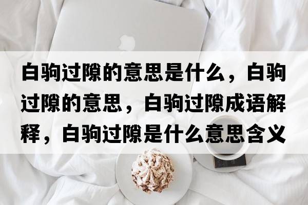 白駒過(guò)隙的意思是什么，白駒過(guò)隙的意思，白駒過(guò)隙成語(yǔ)解釋?zhuān)遵x過(guò)隙是什么意思含義寓意