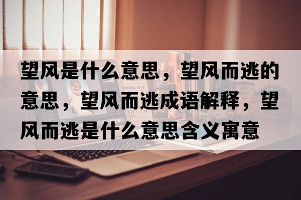 望風(fēng)是什么意思，望風(fēng)而逃的意思，望風(fēng)而逃成語(yǔ)解釋?zhuān)L(fēng)而逃是什么意思含義寓意