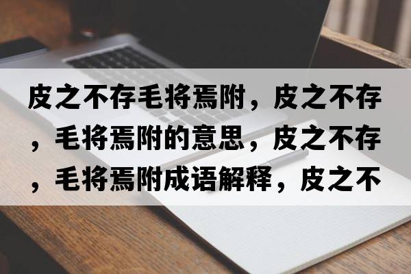皮之不存毛將焉附，皮之不存，毛將焉附的意思，皮之不存，毛將焉附成語(yǔ)解釋?zhuān)ぶ淮?，毛將焉附是什么意思含義寓意