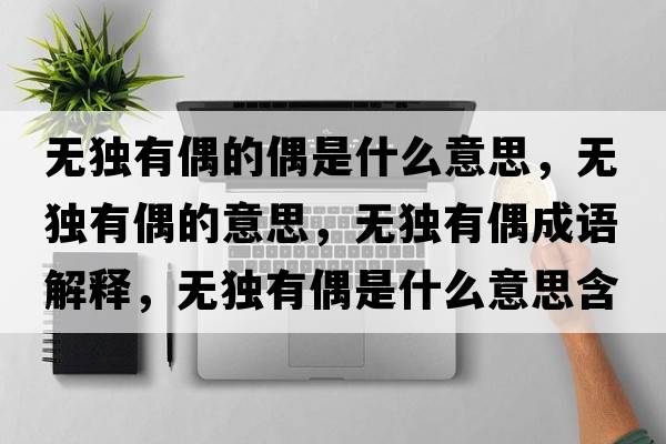 無(wú)獨有偶的偶是什么意思，無(wú)獨有偶的意思，無(wú)獨有偶成語(yǔ)解釋?zhuān)瑹o(wú)獨有偶是什么意思含義寓意