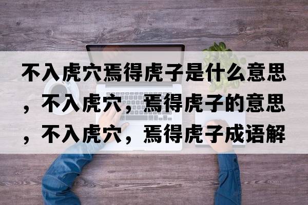 不入虎穴焉得虎子是什么意思，不入虎穴，焉得虎子的意思，不入虎穴，焉得虎子成語(yǔ)解釋?zhuān)蝗牖⒀?，焉得虎子是什么意思含義寓意