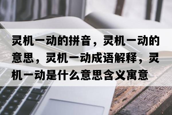 靈機一動(dòng)的拼音，靈機一動(dòng)的意思，靈機一動(dòng)成語(yǔ)解釋?zhuān)`機一動(dòng)是什么意思含義寓意