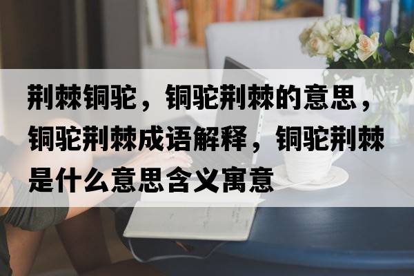 荊棘銅駝，銅駝荊棘的意思，銅駝荊棘成語(yǔ)解釋?zhuān)~駝荊棘是什么意思含義寓意
