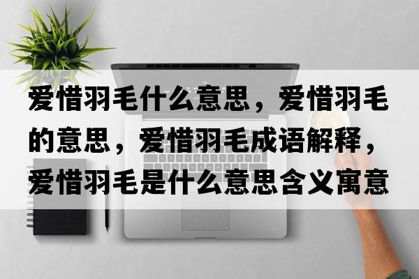 愛(ài)惜羽毛什么意思，愛(ài)惜羽毛的意思，愛(ài)惜羽毛成語(yǔ)解釋?zhuān)瑦?ài)惜羽毛是什么意思含義寓意