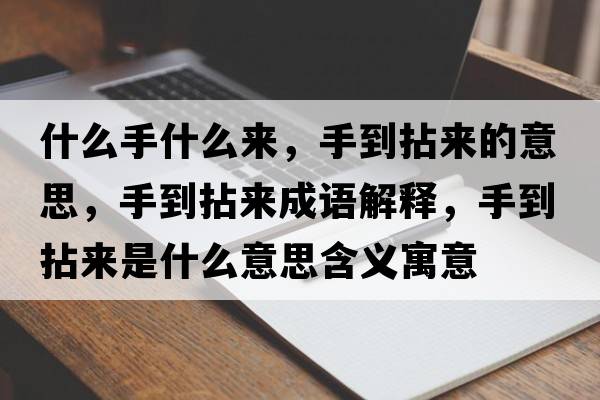 什么手什么來(lái)，手到拈來(lái)的意思，手到拈來(lái)成語(yǔ)解釋?zhuān)值侥閬?lái)是什么意思含義寓意