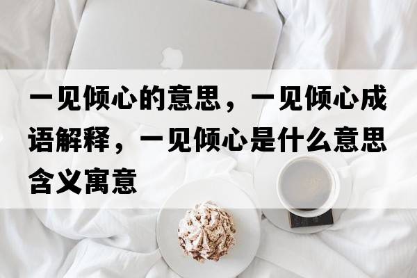 一見(jiàn)傾心的意思，一見(jiàn)傾心成語(yǔ)解釋?zhuān)灰?jiàn)傾心是什么意思含義寓意
