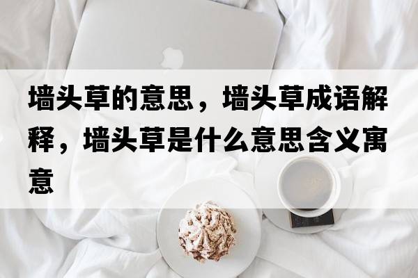 墻頭草的意思，墻頭草成語(yǔ)解釋?zhuān)瑝︻^草是什么意思含義寓意