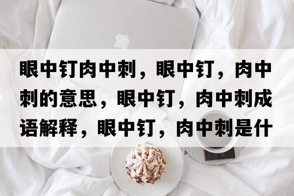 眼中釘肉中刺，眼中釘，肉中刺的意思，眼中釘，肉中刺成語(yǔ)解釋?zhuān)壑嗅?，肉中刺是什么意思含義寓意