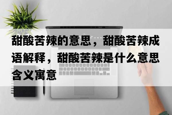 甜酸苦辣的意思，甜酸苦辣成語(yǔ)解釋?zhuān)鹚峥嗬笔鞘裁匆馑己x寓意