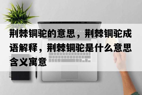 荊棘銅駝的意思，荊棘銅駝成語(yǔ)解釋?zhuān)G棘銅駝是什么意思含義寓意
