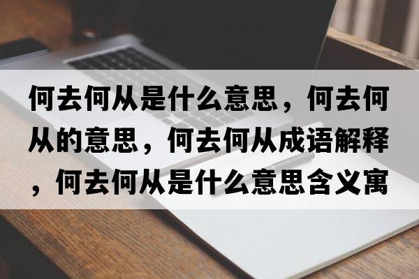 何去何從是什么意思，何去何從的意思，何去何從成語(yǔ)解釋?zhuān)稳ズ螐氖鞘裁匆馑己x寓意