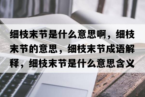 細枝末節是什么意思啊，細枝末節的意思，細枝末節成語(yǔ)解釋?zhuān)氈δ┕澥鞘裁匆馑己x寓意