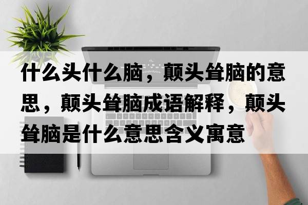 什么頭什么腦，顛頭聳腦的意思，顛頭聳腦成語(yǔ)解釋?zhuān)嶎^聳腦是什么意思含義寓意