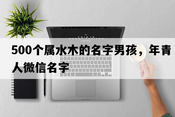 500個(gè)屬水木的名字男孩，年青人微信名字