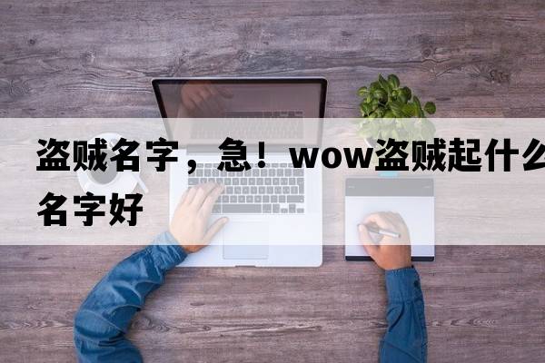 盜賊名字，急！WOW盜賊起什么名字好