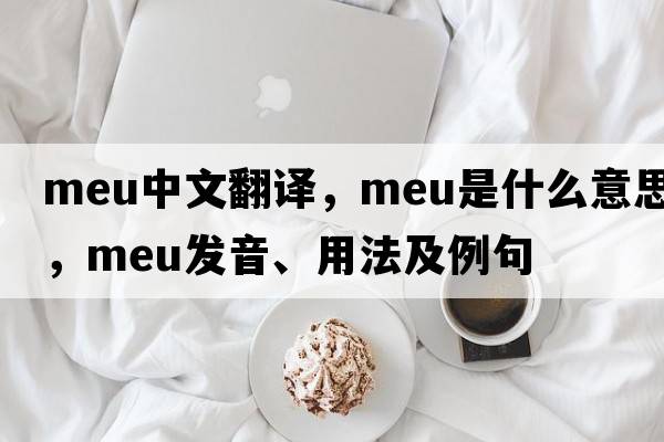meu中文翻譯，meu是什么意思，meu發(fā)音、用法及例句