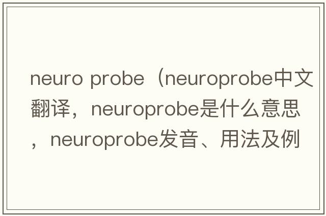 Neuro Probe（neuroprobe中文翻譯，neuroprobe是什么意思，neuroprobe發(fā)音、用法及例句）
