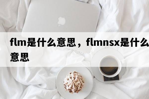 flm是什么意思，flmnsx是什么意思