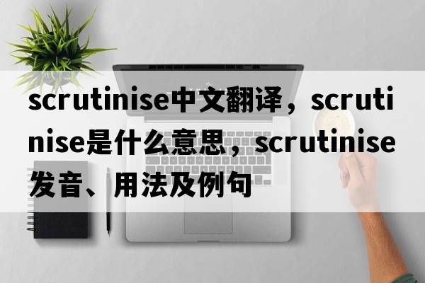 scrutinise中文翻譯，scrutinise是什么意思，scrutinise發(fā)音、用法及例句