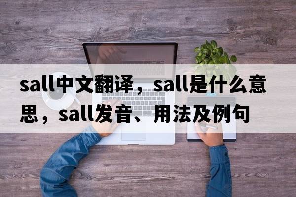 Sall中文翻譯，Sall是什么意思，Sall發(fā)音、用法及例句