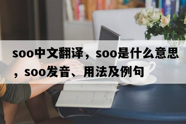 Soo中文翻譯，Soo是什么意思，Soo發(fā)音、用法及例句