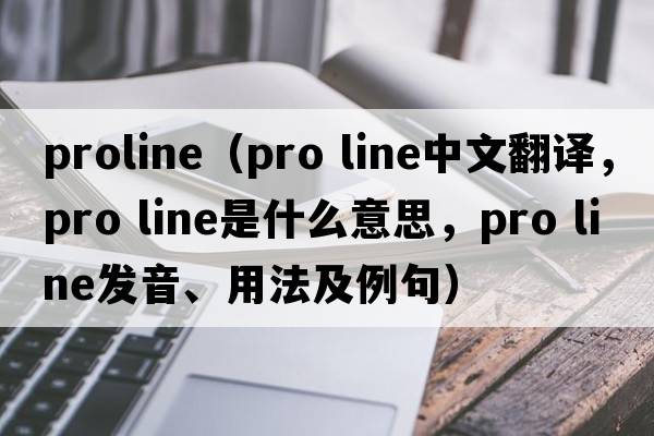 proline（pro line中文翻譯，pro line是什么意思，pro line發(fā)音、用法及例句）