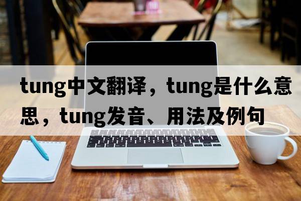 tung中文翻譯，tung是什么意思，tung發(fā)音、用法及例句