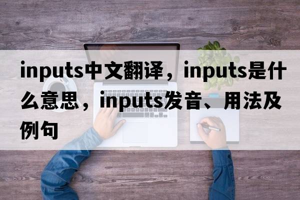 inputs中文翻譯，inputs是什么意思，inputs發(fā)音、用法及例句