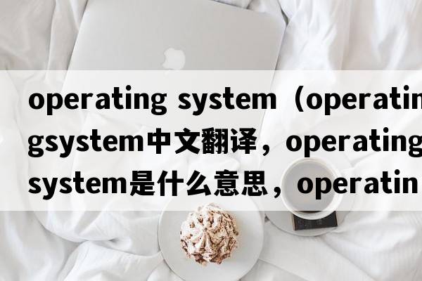 operating system（operatingsystem中文翻譯，operatingsystem是什么意思，operatingsystem發(fā)音、用法及例句）