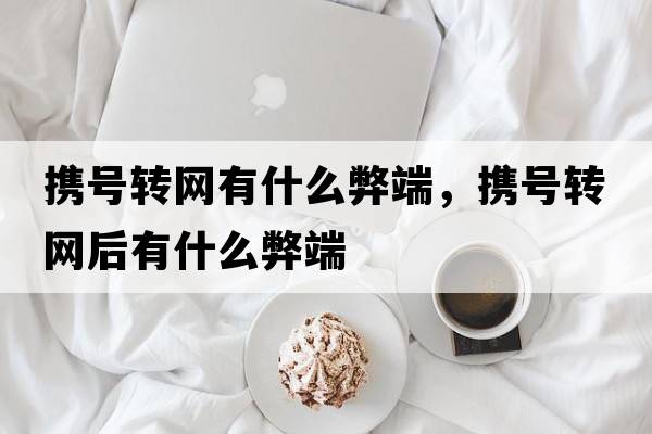攜號轉網(wǎng)有什么弊端，攜號轉網(wǎng)后有什么弊端