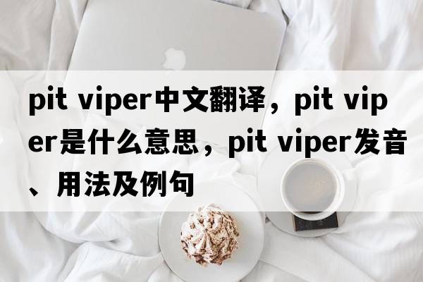 pit viper中文翻譯，pit viper是什么意思，pit viper發(fā)音、用法及例句
