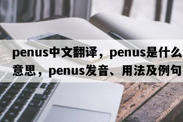 penus中文翻譯，penus是什么意思，penus發(fā)音、用法及例句