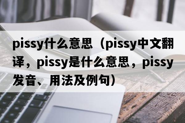 pissy什么意思（pissy中文翻譯，pissy是什么意思，pissy發(fā)音、用法及例句）