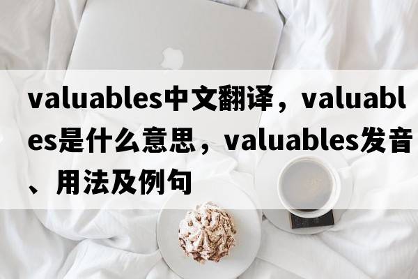 valuables中文翻譯，valuables是什么意思，valuables發(fā)音、用法及例句