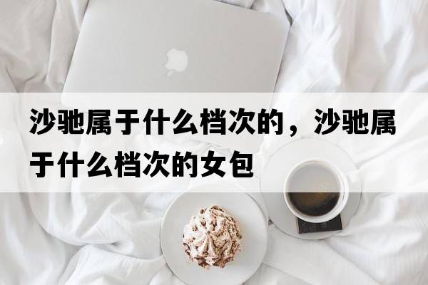 沙馳屬于什么檔次的，沙馳屬于什么檔次的女包