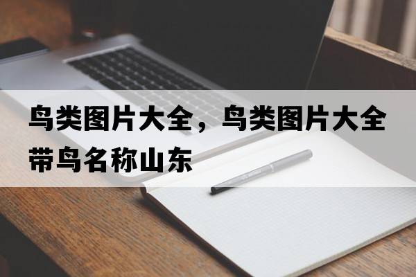 鳥(niǎo)類(lèi)圖片大全，鳥(niǎo)類(lèi)圖片大全帶鳥(niǎo)名稱(chēng)山東