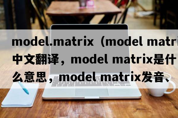 model.matrix（model matrix中文翻譯，model matrix是什么意思，model matrix發(fā)音、用法及例句）