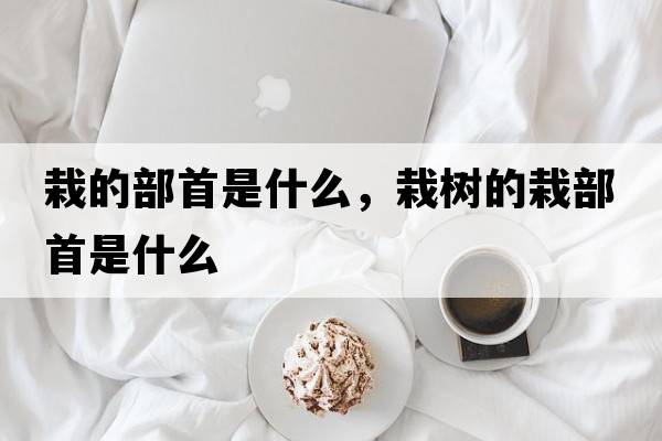 栽的部首是什么，栽樹(shù)的栽部首是什么