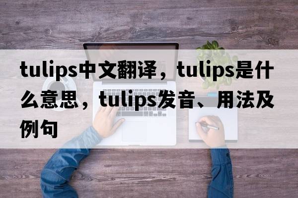 tulips中文翻譯，tulips是什么意思，tulips發(fā)音、用法及例句