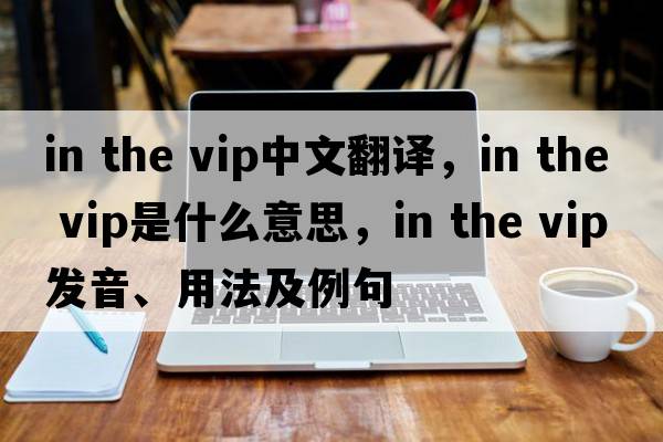 in the vip中文翻譯，in the vip是什么意思，in the vip發(fā)音、用法及例句