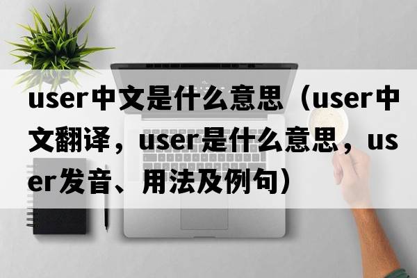 user中文是什么意思（user中文翻譯，user是什么意思，user發(fā)音、用法及例句）