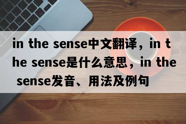 in the sense中文翻譯，in the sense是什么意思，in the sense發(fā)音、用法及例句