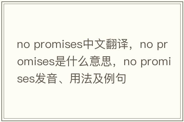 no promises中文翻譯，no promises是什么意思，no promises發(fā)音、用法及例句