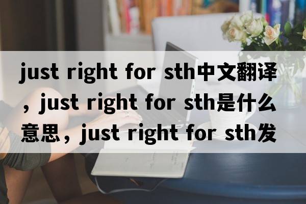 just right for sth中文翻譯，just right for sth是什么意思，just right for sth發(fā)音、用法及例句