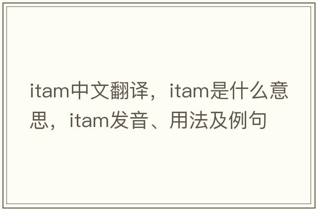 itam中文翻譯，itam是什么意思，itam發(fā)音、用法及例句