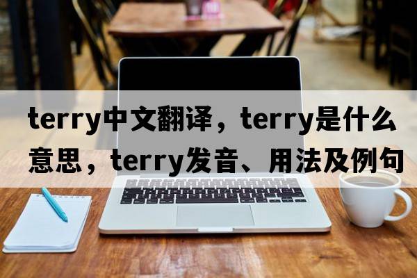 terry中文翻譯，terry是什么意思，terry發(fā)音、用法及例句