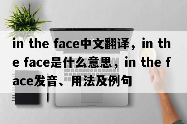 in the face中文翻譯，in the face是什么意思，in the face發(fā)音、用法及例句